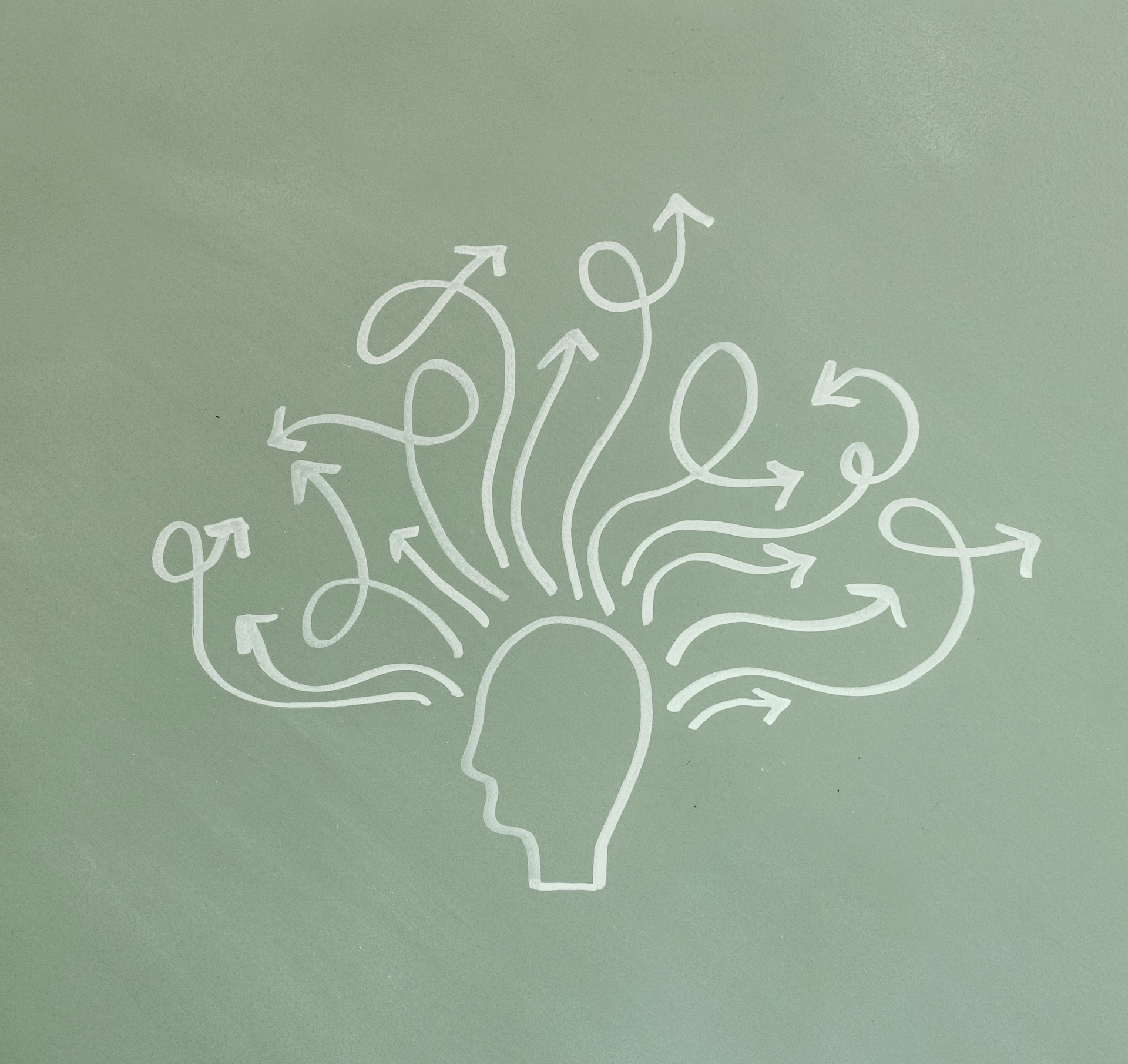 Het hoogsensitieve brein